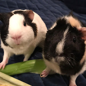 Meet your Posher, Andrea